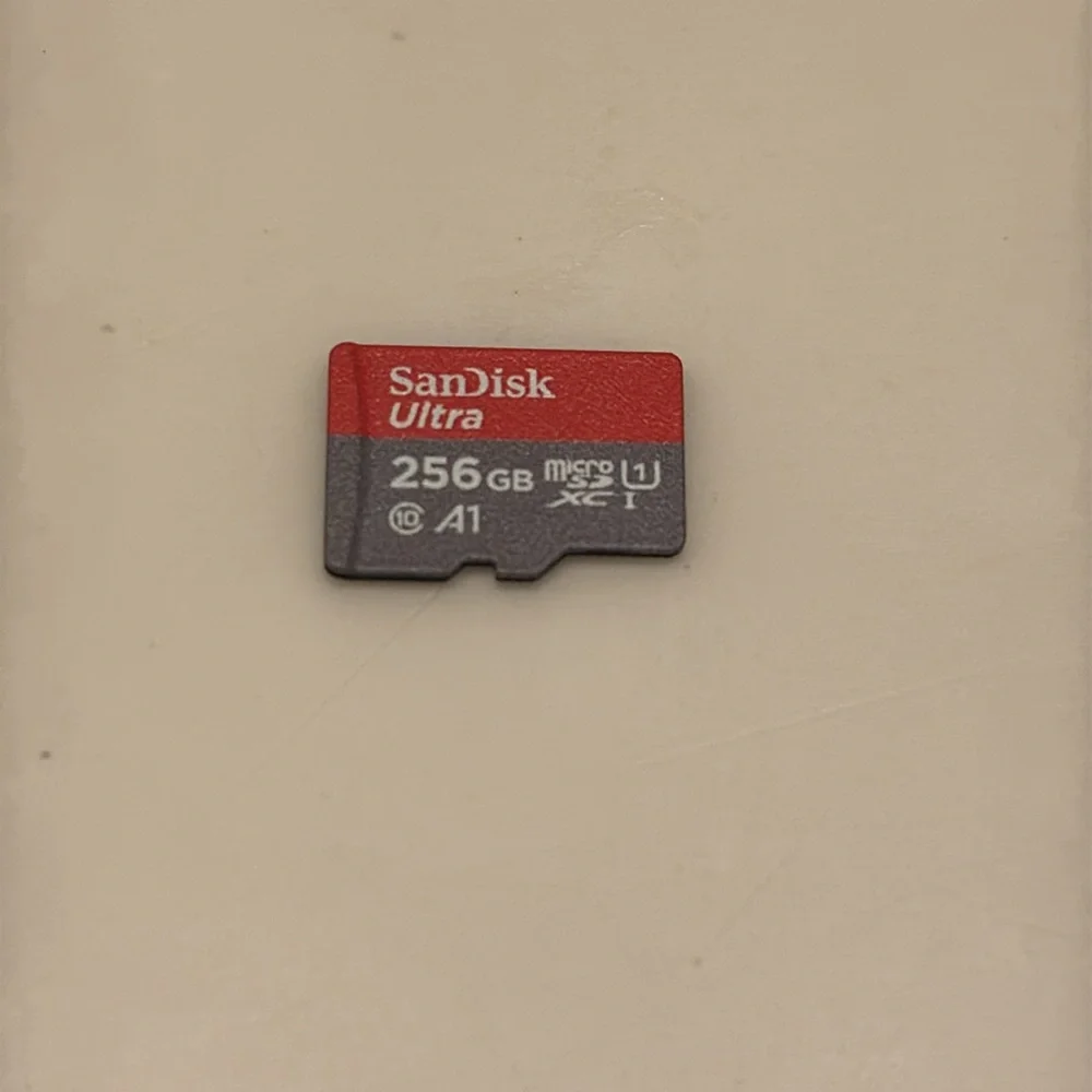 Nintendo Switch My Sims 256gb Sandisk Micro Card SD